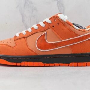 Nike dunk sb low concept naranja